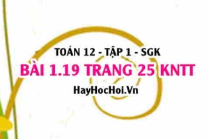 Bài 1.19 trang 25 Toán 12 tập 1 Kết nối tri thức